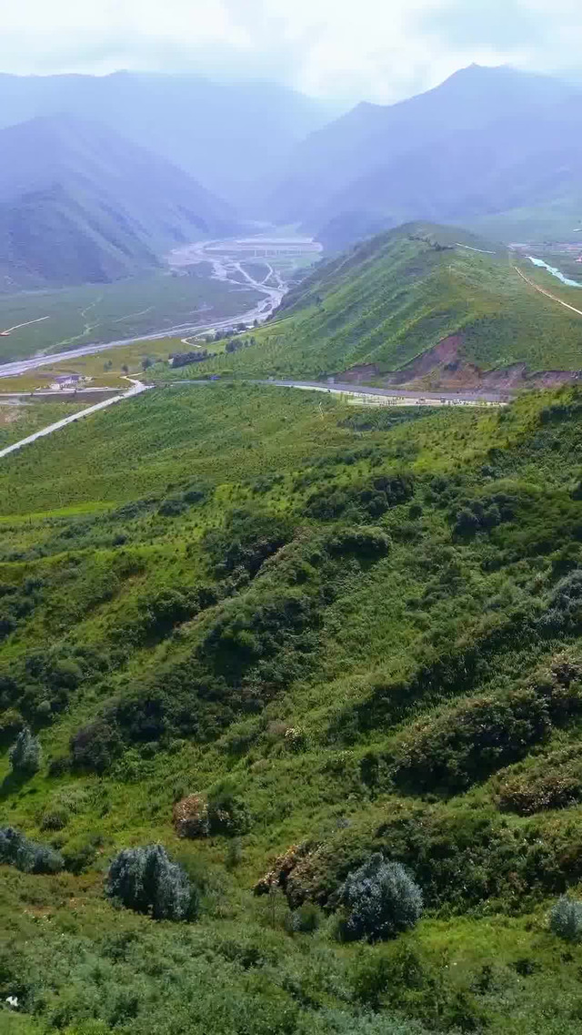 临夏黄草坪图片