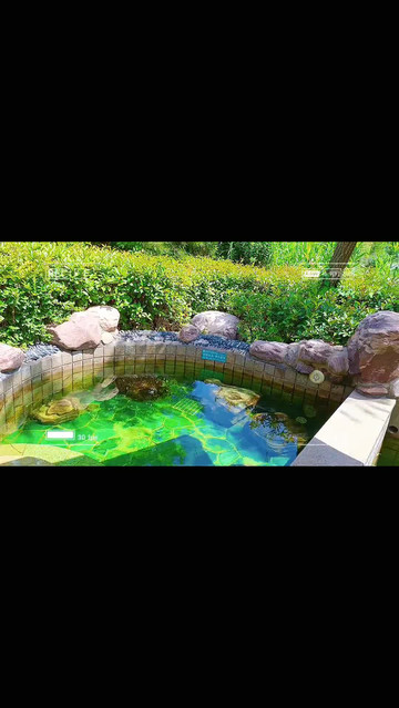 超强攻略_玩转临沂鲁商知春湖温泉之行