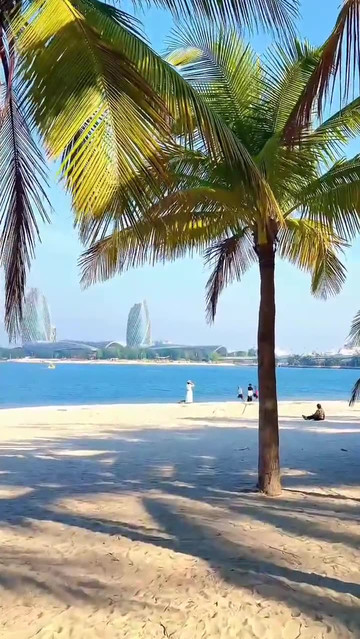 与万宁相关的视频网站_与万宁相关的视频网站是什么