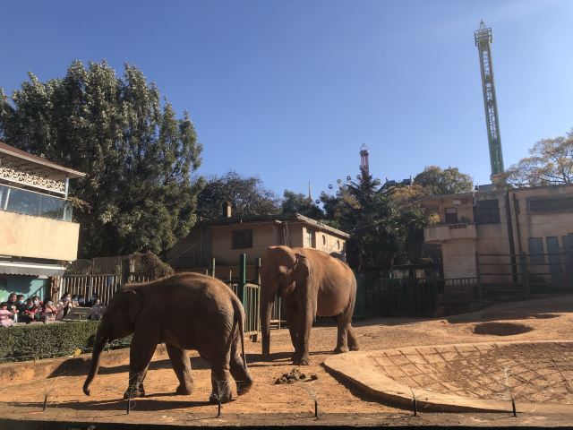 昆明動物園