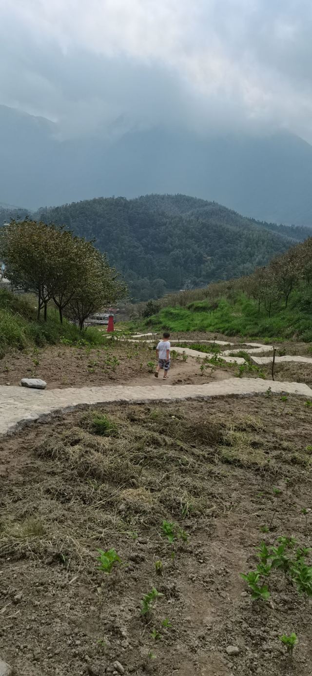 明月山花海原居图片