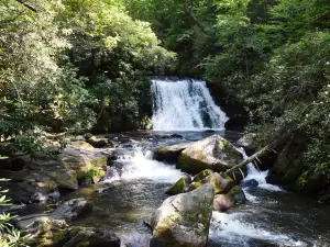 Yellow Creek Falls