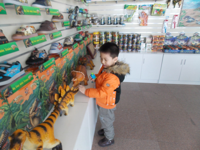 大连恐龙馆、星海广场、老虎滩乐园春节自驾亲