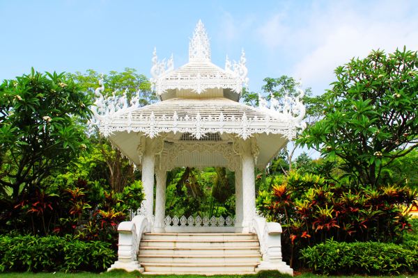 驾驭维特拉纵横热带雨林,心已迷失在西双版纳