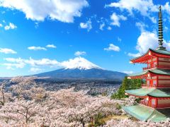 拥抱富士山,东京深度6日游