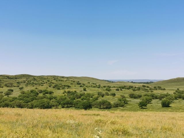白音锡勒牧场景区