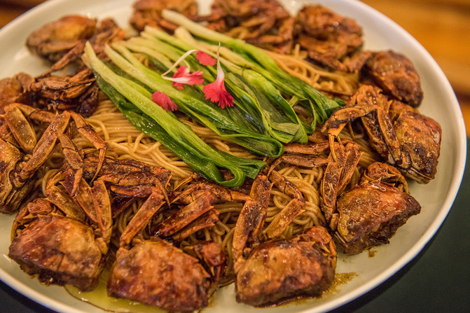 访文脉,品美食,我在松江相遇千年上海