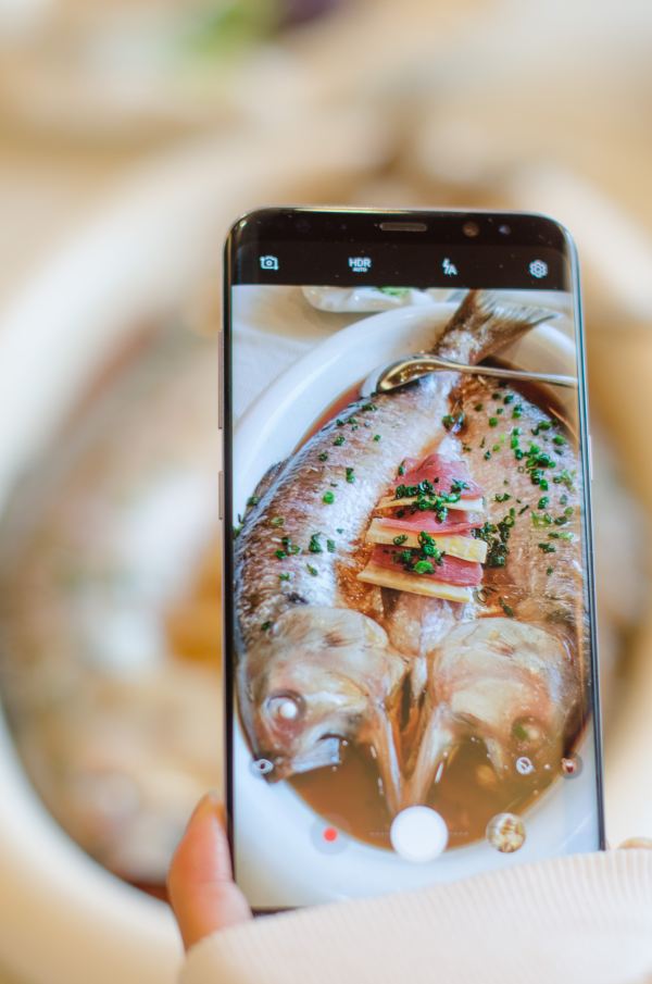 寻鲜张家港 万般风情只为等你 常阴沙生态农业度假区 攻略游记 途牛