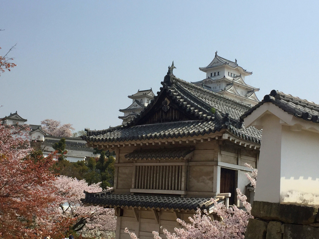 日本我來啦!大阪,奈良,神戶,姬路城,京都9日深度遊,美照美景無數