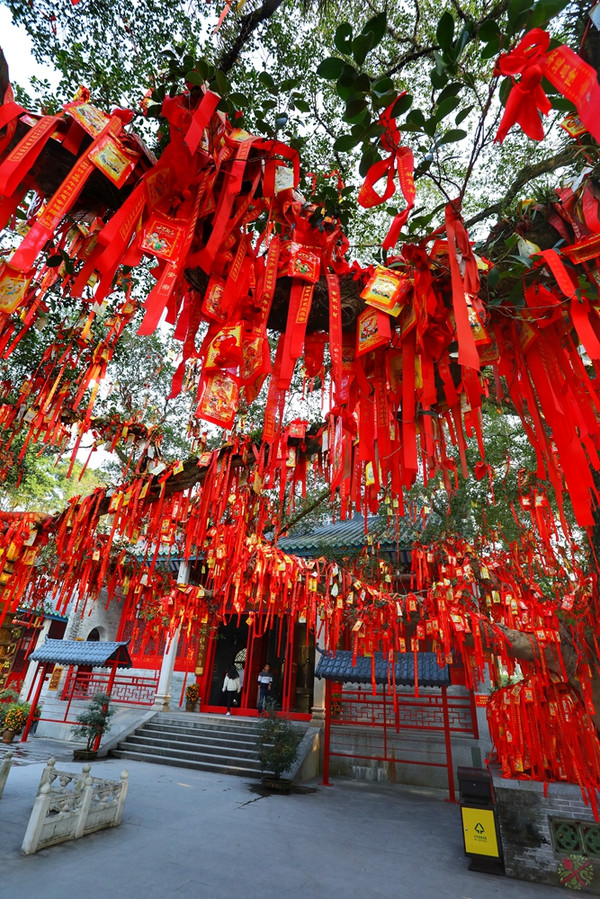 春节回家不堵车,来云浮新兴国恩寺,禅域小镇走走
