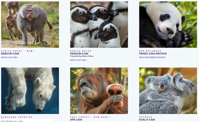 すばらしい無料の仮想動物園ツアーとソファのオンライン無料博物館（2020年7月更新）