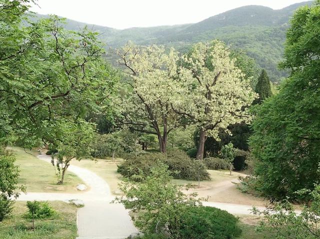 北京北京植物園攻略,北京北京植物園門票/遊玩攻略/地址/圖片/門票