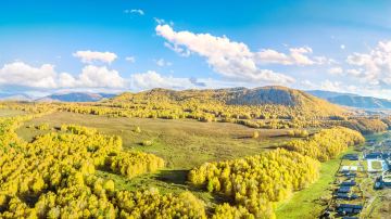 shutterstock_1199205106