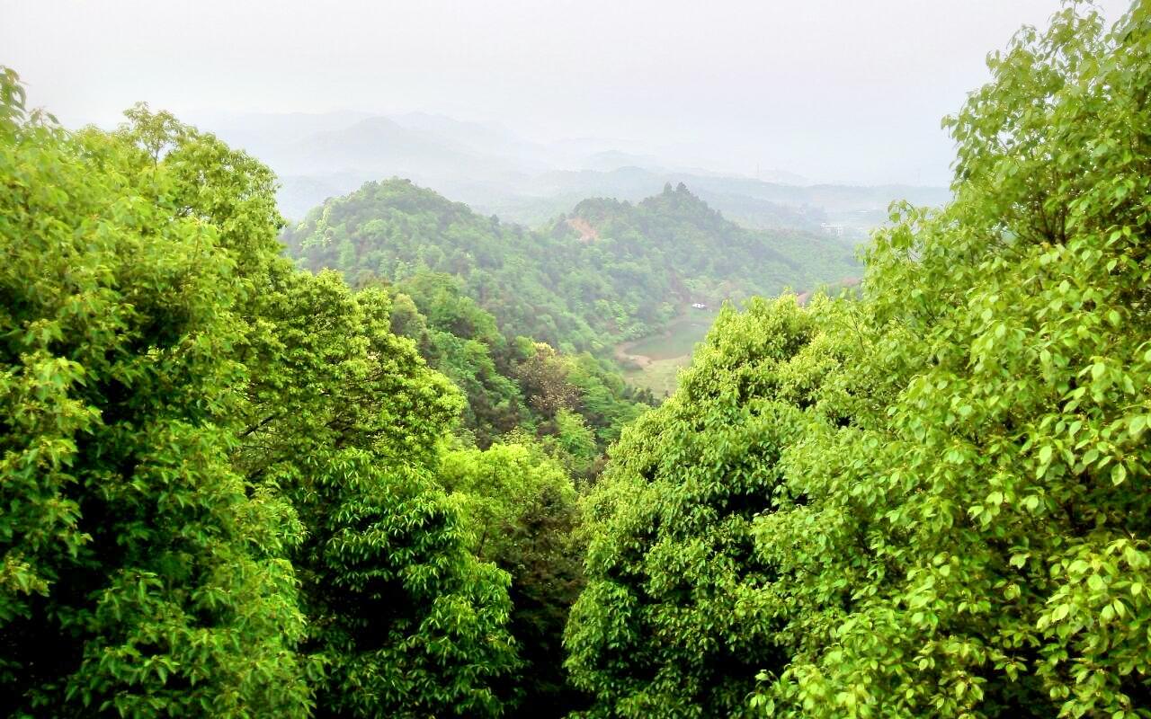 雨母山