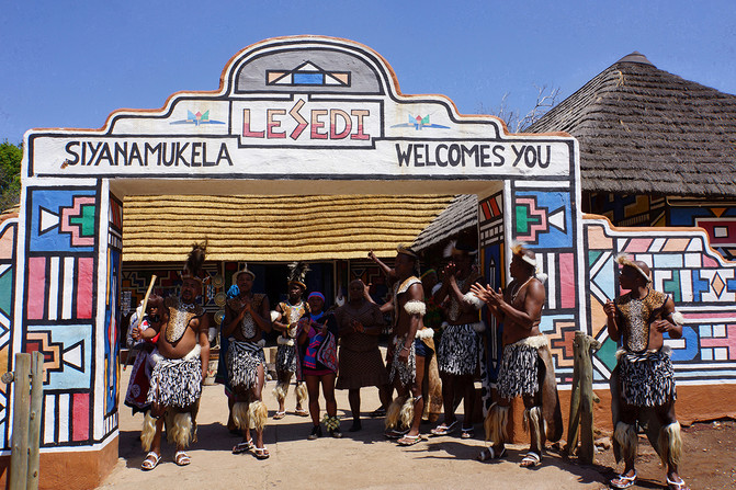 帝王花的狂野浪漫----南非