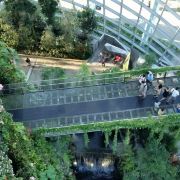 新加坡滨海湾花园的空中走廊值得去吗?双馆门