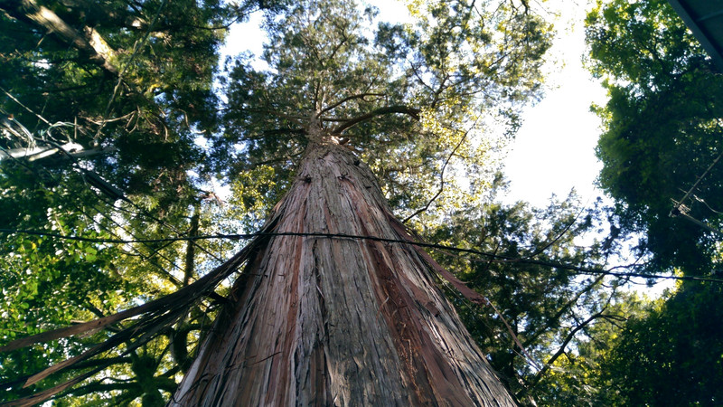10030h0000008ug0zE79E_R_800_10000_Q90.jpg