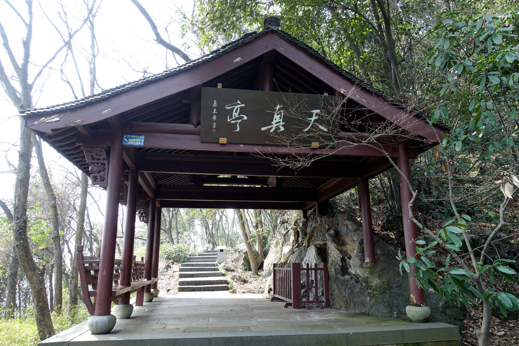 春日正好,八卦田玉皇山采风行 - 杭州游记攻略【携程攻略】