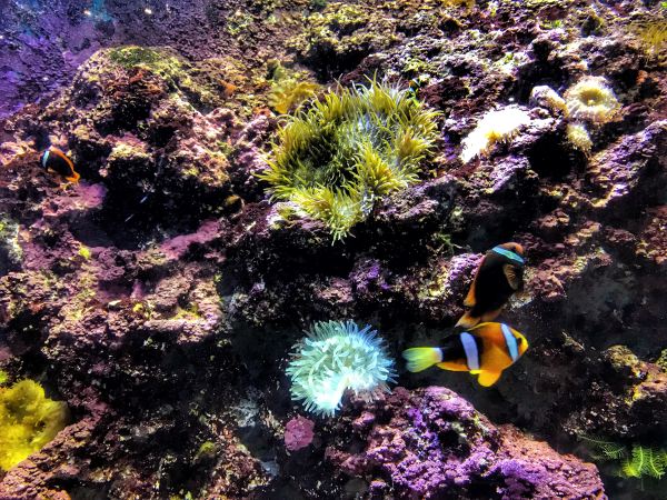 目的地攻略 国立海洋生物博物馆 没想到在台湾 在垦丁 还可以这样玩 Yhouse悦会