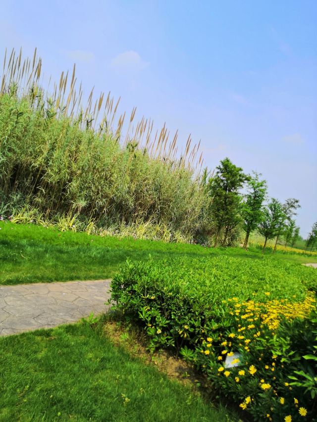 嘉义县阿里山乡迷糊步道游玩攻略简介 嘉义县阿里山乡迷糊步道门票 地址 图片 开放时间 照片 门票价格 携程攻略