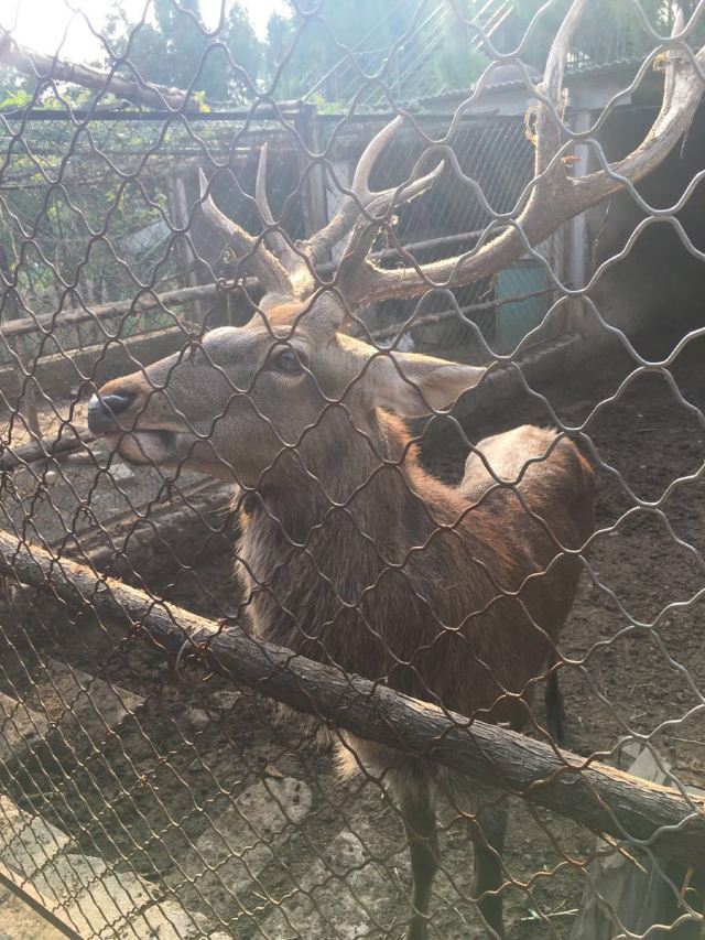 【携程攻略】北京圣泉山旅游风景区好玩吗,北