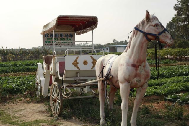 古石龙休闲度假农场