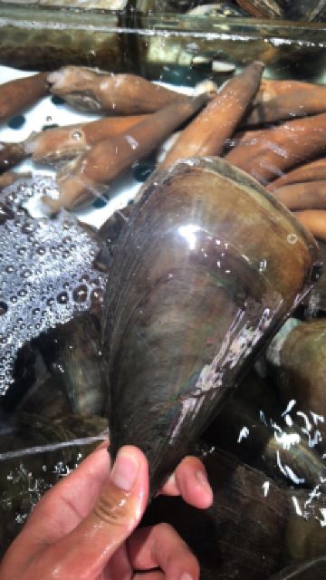 占稳专业海鲜加工-秦皇岛-_wech****592507