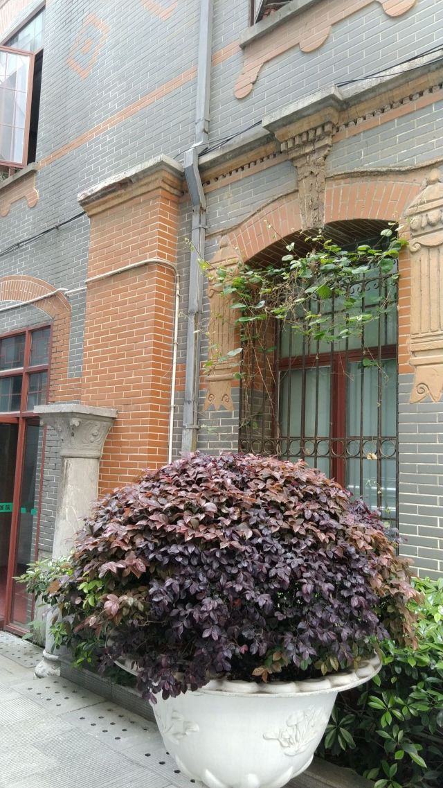 鼓楼医院历史纪念馆