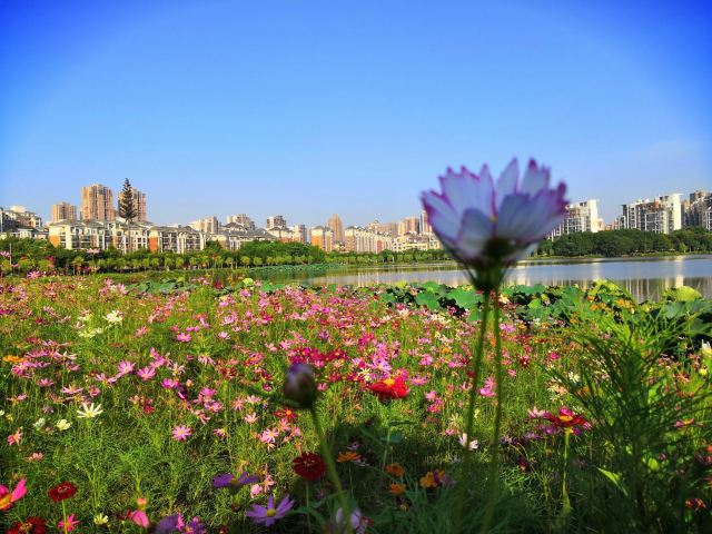 武漢南湖幸福灣水上公園攻略,武漢南湖幸福灣水上公園門票/遊玩攻略