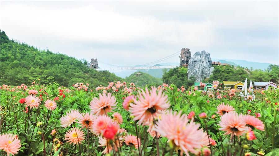 彝山花谷景区