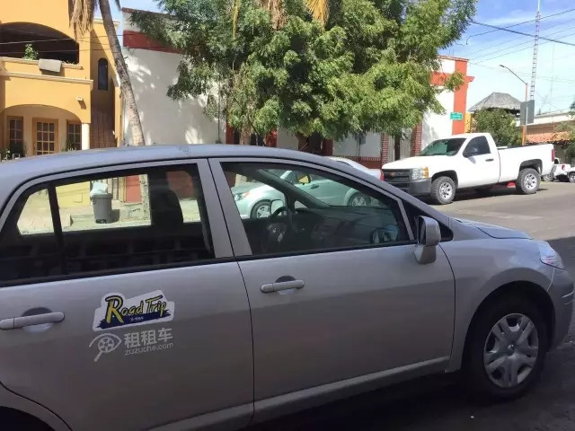 下加利福尼亚州 | 广西鲸鲨被杀,这里你可以和十