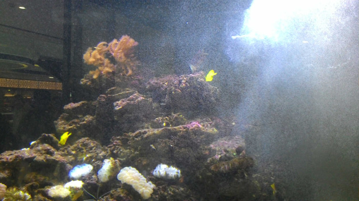 南昌周末老老少少全家2日游 - 南昌游记攻略【