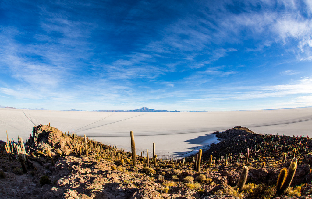 【玻利维亚】高原盐湖,火烈鸟南美洲最美的风景!