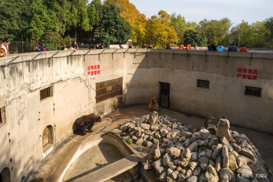 王城公园一日游王城公园牡丹动物园牡丹真国色花开动京城