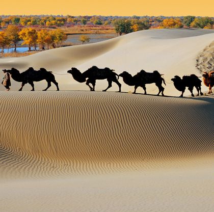 中国新疆库尔勒罗布人村寨+塔克拉玛干沙漠一日游
