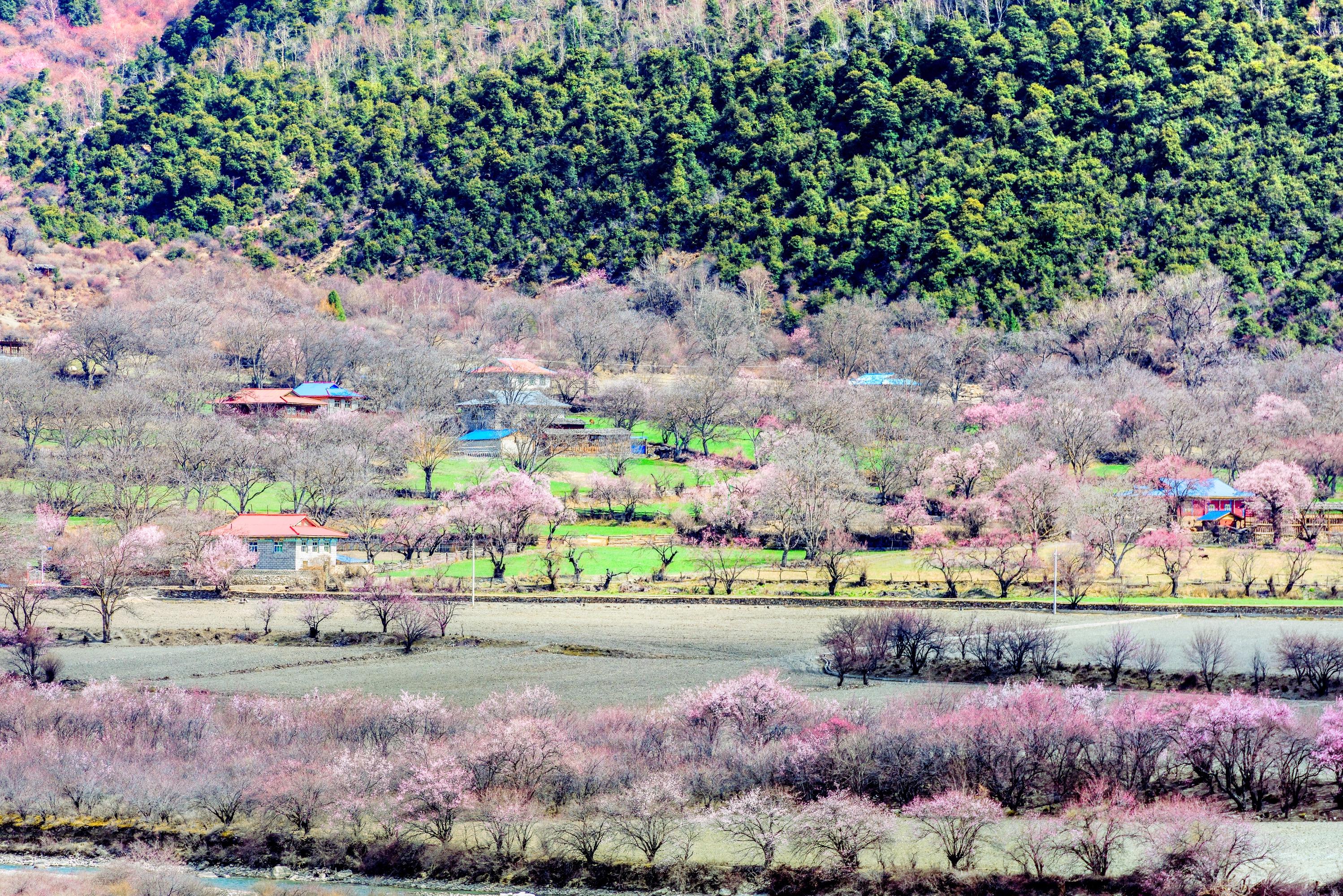 嘎朗湖景区