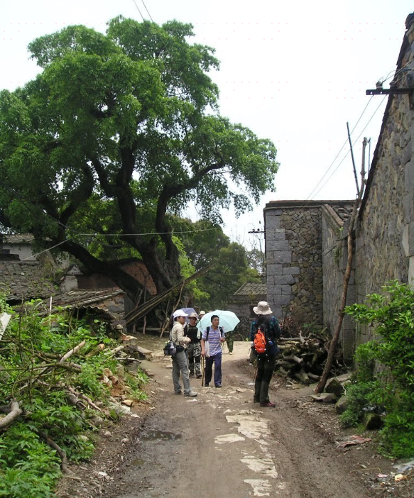 青圃岭村