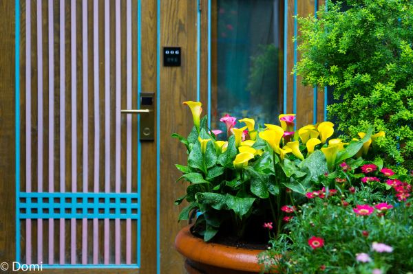 脚踏彩云之南,阅读时光的印记,丽江大理十日--