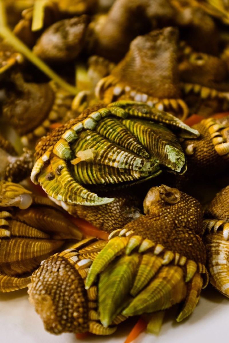 添加拍摄地添加图片描述 一种叫佛手的海鲜