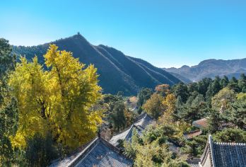 北京潭柘寺+戒台寺包车一日游【周边赏秋/单位团建/上门接送】【先有潭柘寺后有北京城，苍松翠柏中探索皇家古斯】
