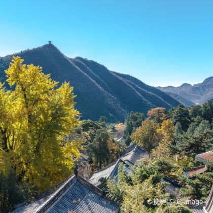 北京潭柘寺+戒台寺包车一日游【周边赏秋/单位团建/上门接送】