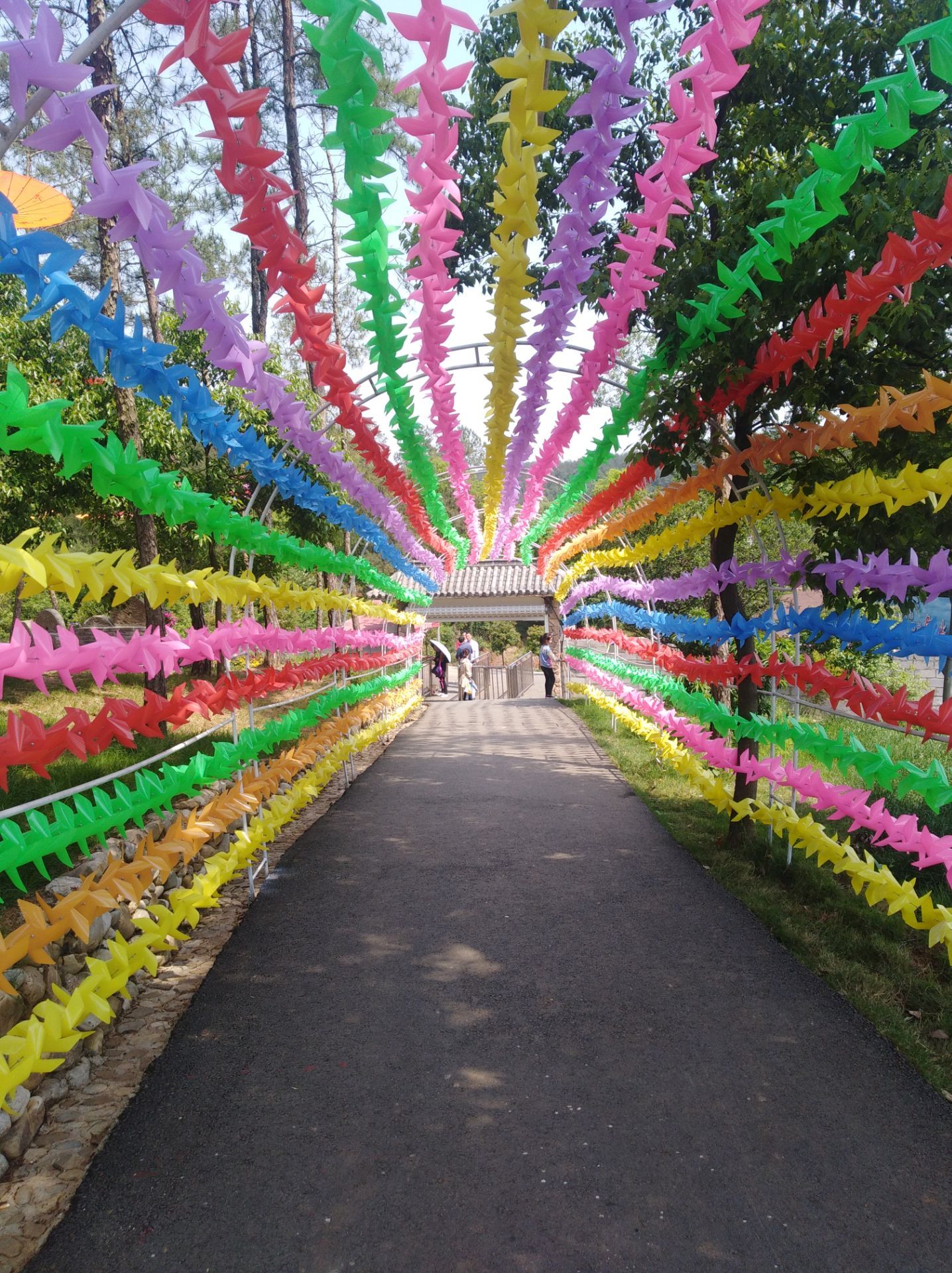 玉泉花海