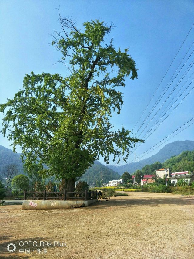 湘潭县湘潭隐山 攻略,湘潭县湘潭隐山 门票/游玩攻