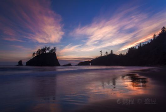 美国西雅图+奥林匹克国家公园一日游【西雅图往返】【[拥抱自然]赏奥林匹克国家公园美景，感受自然风光之旅】