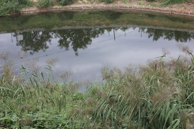 带你秋游黄陵田庄三十里绿廊,果乡,果香.
