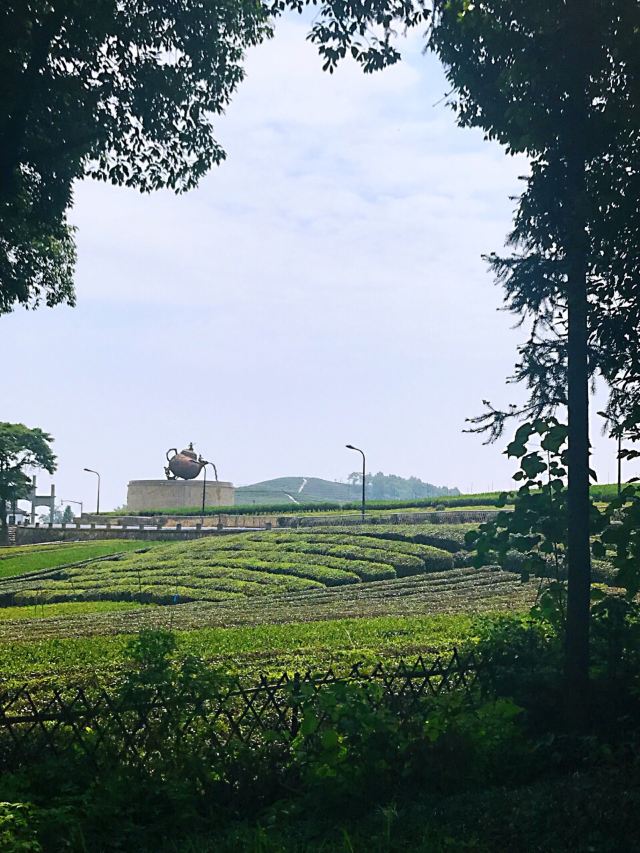 龙坞镇西山森林公园