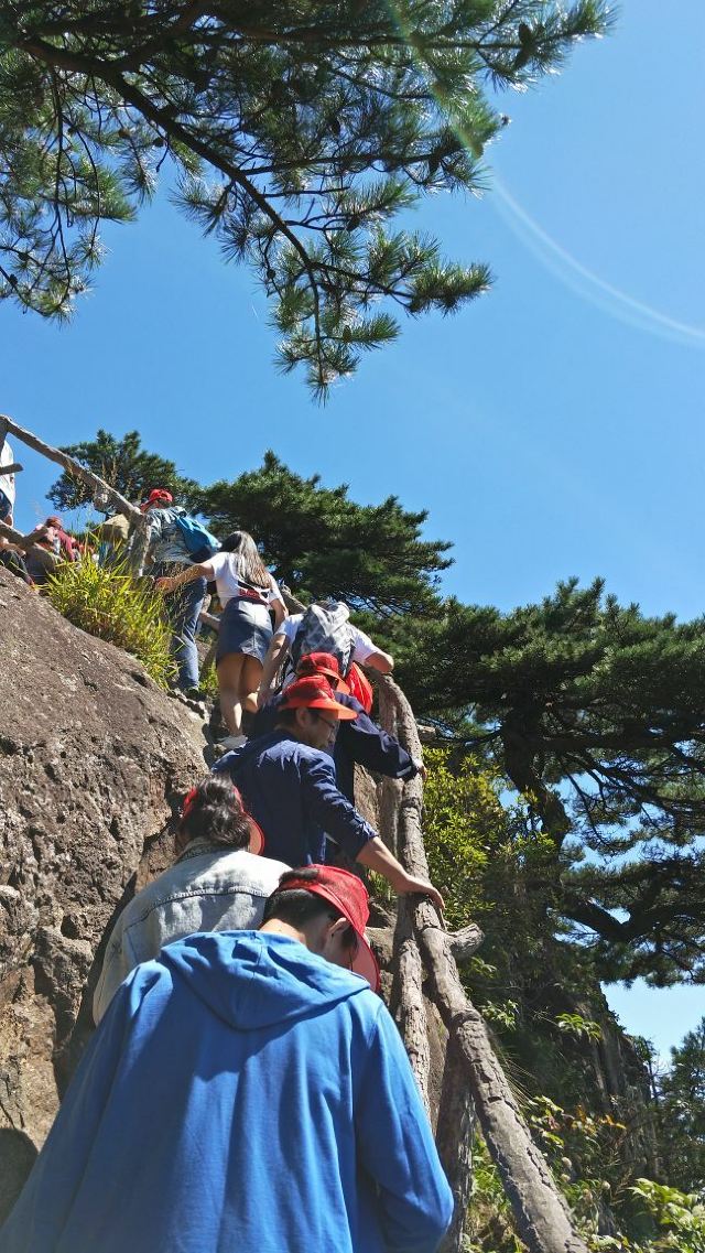 黄山风景区好汉坡攻略,黄山风景区好汉坡门票/游玩攻略/地址/图片