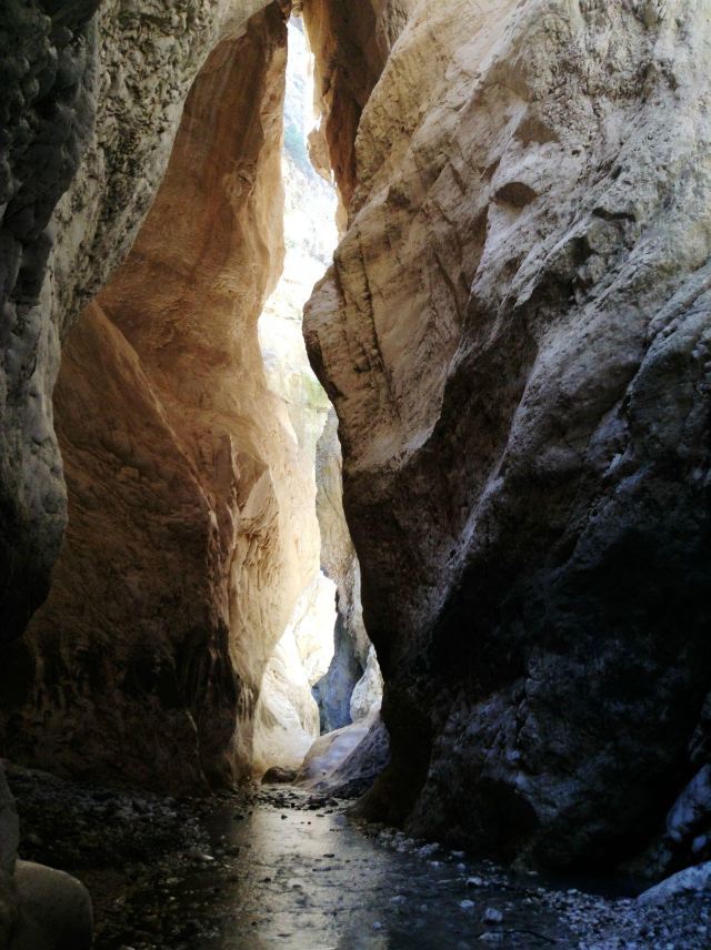 萨克利肯特国家公园