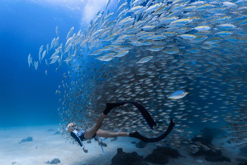 普吉岛自由潜攻略,如何在水下拍出大片感