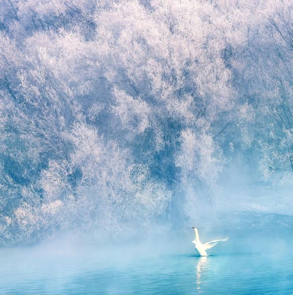 天鹅泉湿地公园